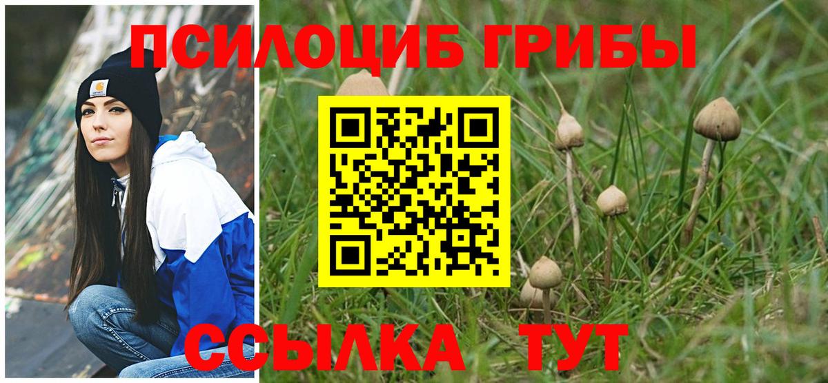 Псилоцибиновые грибы мицелий Набережные Челны