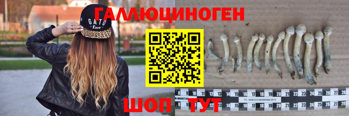 Набережные Челны  Галлюциногенные грибы Magic Shrooms  Вход с VPN 